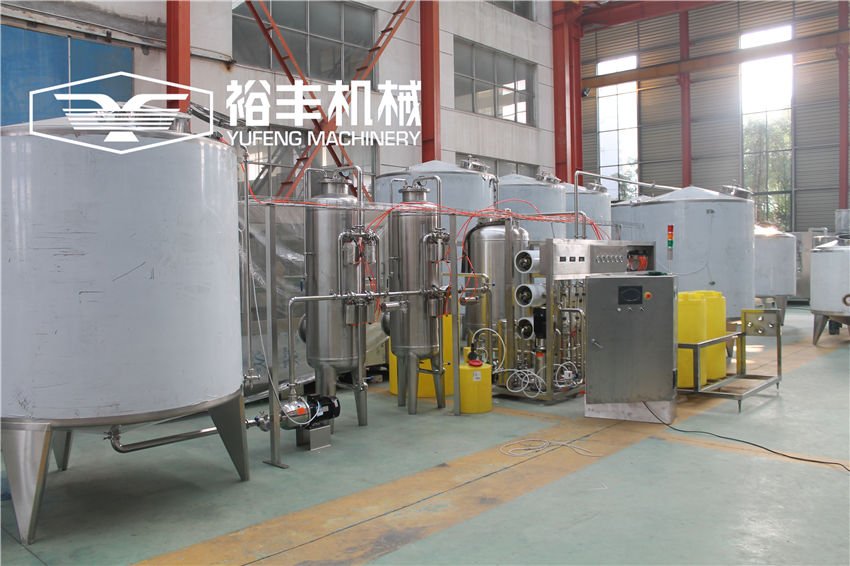 6TPH Mineral Water Plant With Self Cleaning 